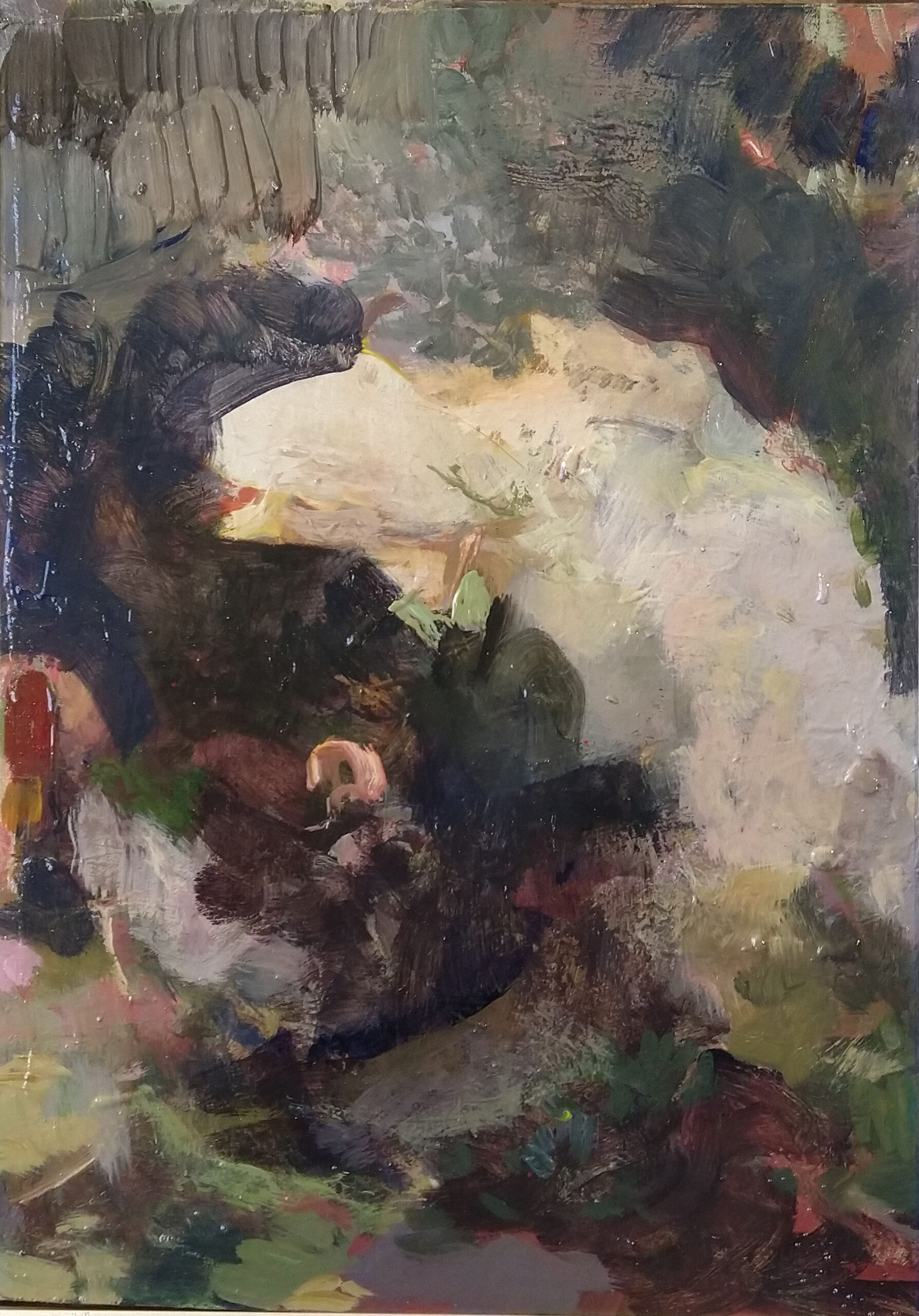 2019 (13)